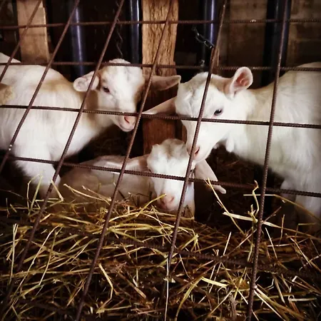 Travaglini * Casoli (Abruzzo)